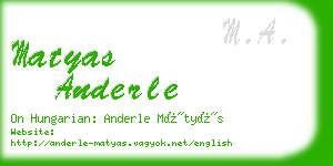 matyas anderle business card